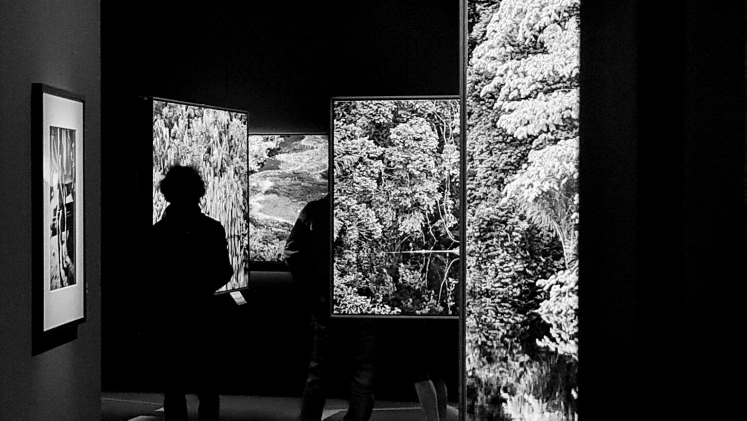 Exposition Salgado 2024 - Jérôme Cerotti